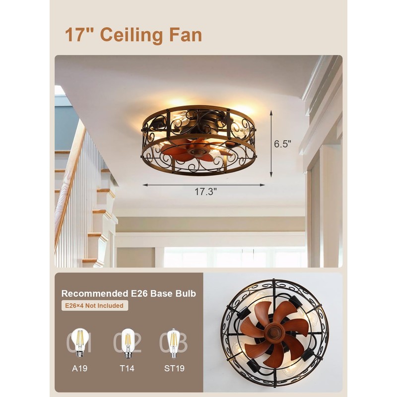 Curve Curio 18 Inch Farmhouse Caged Ceiling Fan with Light,