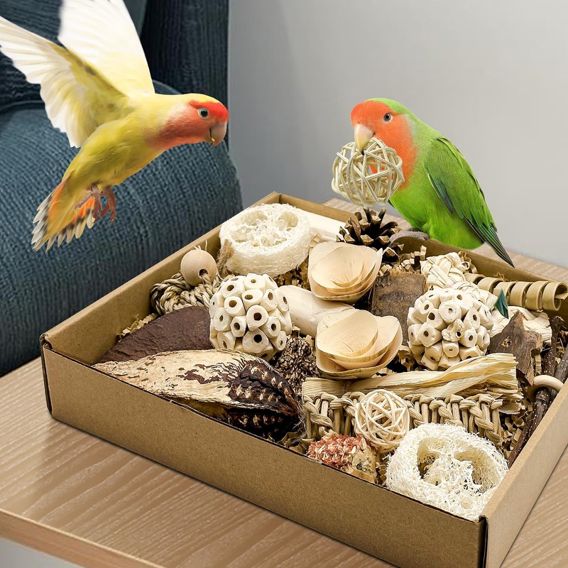LOPERDEVE Natural Bird Toy Foraging Parrot Shredding Toys Box Conure