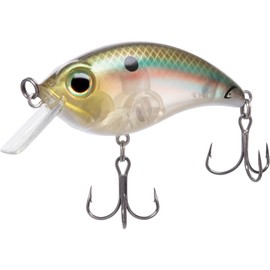 ATV SQUAREBILL 2.5 / Ghost Minnow