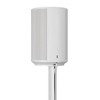 Mountson - Floor Stand Compatible with Sonos Era 100 (Single
