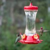 Perky-Pet 476 Glass 20-Ounce Hummingbird Feeder