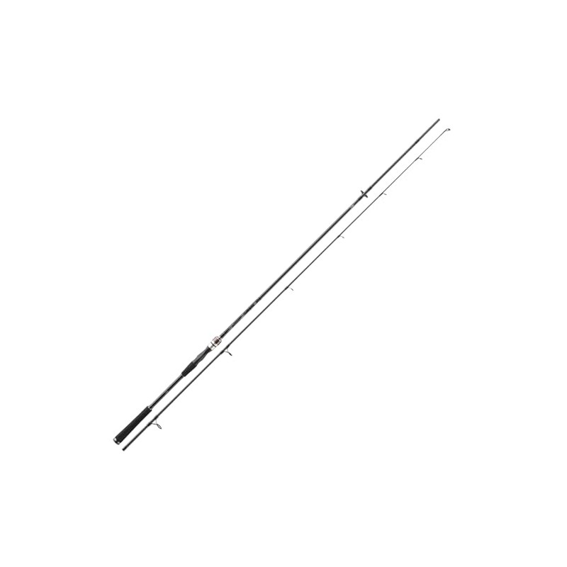 DAIWA Exceler Spin 2.70 m 20-60 g