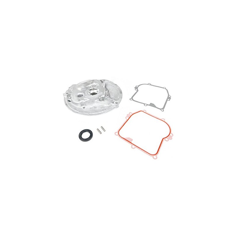 Briggs & Stratton 594101 Lawn & Garden Equipment Engine Oil