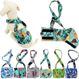 Dog Diaper for Male Boy Belly Band Reusable Washable with Suspenders Soft Fleece (Teal Dinosaur, L: Waist 16" - 19")