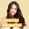 Champú y acondicionador Love Beauty and Planet