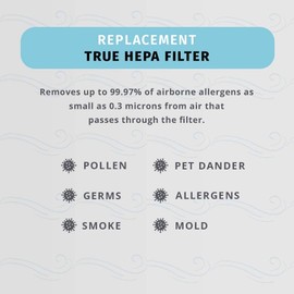 Homedics TotalClean HEPA-Type Air Purifier Filter Replacements, Works with Homedics AT-PET01, AT-PET02, and AT-45 Air Purifiers, Captures Microscopic Airborne Particles