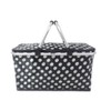 Large Capacity Cooler Bag, Stylish, Sports, Foldable, Basket, Lightweight, Cooler