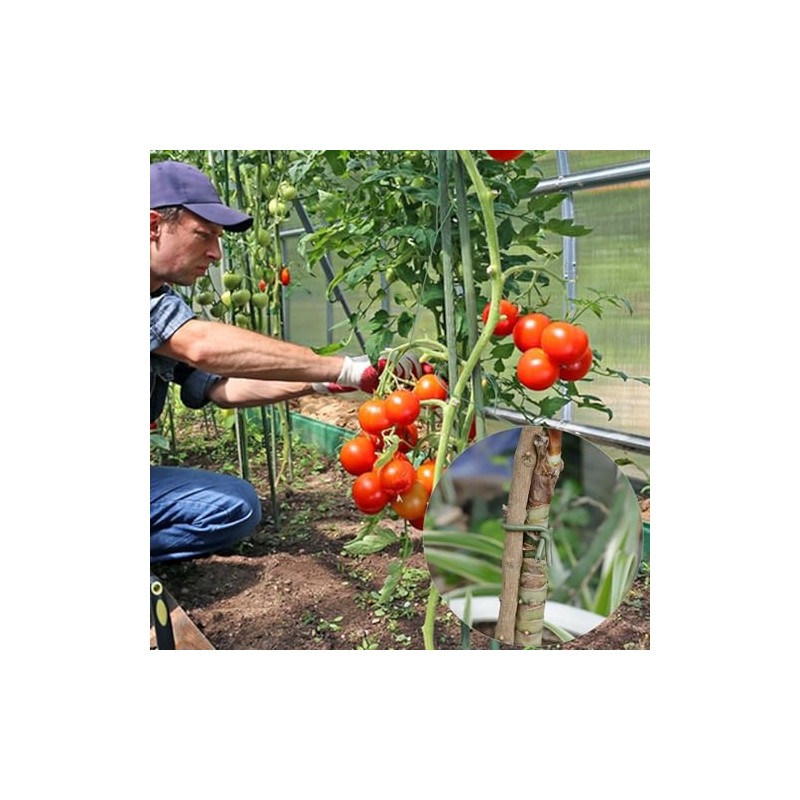 TELENT OUTDOORS 101 Feet Soft Plant Ties for Gardening Support