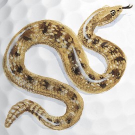 CafePress Sidewinder Snake Novelty Golf Balls (Pk of 12)