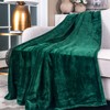 SOCHOW Flannel Fleece Blanket Throw Size, All Season Super Soft