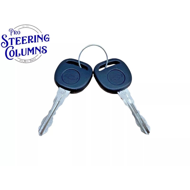 STRATTEC 2007-2013 GM SILVERADO TAILGATE DOOR LOCK CYLINDER 2 KEYS