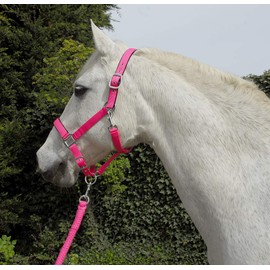 Rhinegold Carnival Headcollar & Rope Carnival Headcollar & Rope Light Pink Pony