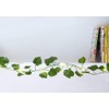 KIKKERLAND Design Props Ivy Leaf String Lights 10ft Green Large