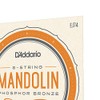 D'Addario | Mandolin Phosphor Bronze | Cuerdas para Mandolina |