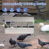 Automatic Chicken Waterer Stainless Steel Large Metal Chicken Waterer System
