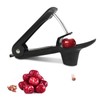 SoeUyd Cherry Stone Remover, Cherry Pitter, Cherry Pitter, Stainless Steel