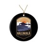 Haleakala National Park Ornament - Haleakala National Park Gift -