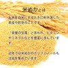 【リプサ公式】 米ぬか凝縮サプリ 約1か月分×3袋 C-222-3 サプリメント