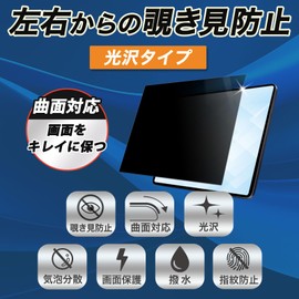 Leipsden FCNT Arrows We2 Plus Compatible FlexPrivacy View Protective Film Curved Anti-Prying Privacy Gloss Made in Japan