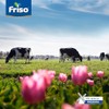 Frisolac Gold Hipoalergénico (0 A 12 Meses) Lata Con 400
