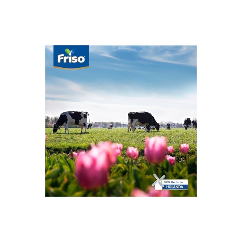 Frisolac Gold Hipoalergénico (0 A 12 Meses) Lata Con 400