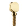 5pcs Brass Sax Neck Tightening Screws Saxophone Replacement Parts Copper