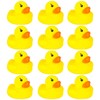 12 Pcs Rubber Ducks, Mini Ducks, Rubber Duck, Mini Rubber