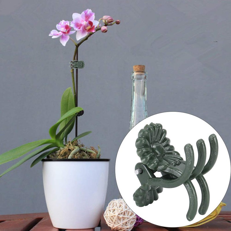 Aqur2020 Stem Clip, Flower Stems Fixing Support Clips Tool 100