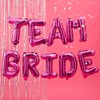 Ginger Ray Team Bride Hen Party Bunting - Hot Pink
