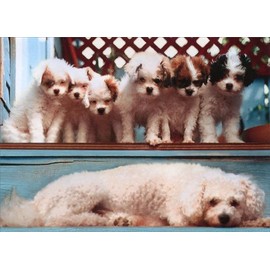 Poddle with Pups Mother's Day Card