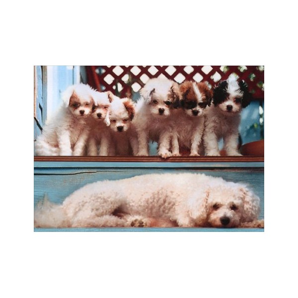 Poddle with Pups Mother's Day Card