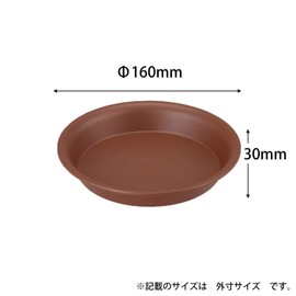 Appleware Plate, Pottery Plate, No. 5, Ebicha, Depth 6.3 x Width 6.3 x Height 1.2 inches (16 x 16 x 3 cm), Effective Surface 4.1 x 4.1 inches (10.5 x 10.5 cm)
