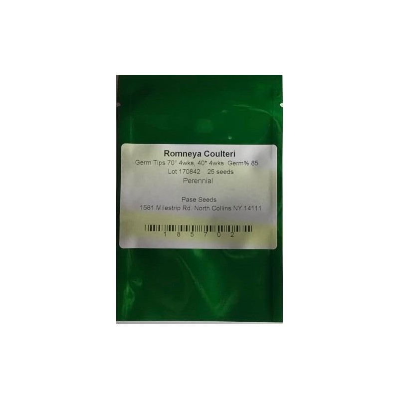Romneya Coulteri Perennial Seeds