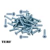 TERF® M10 X 80mm Hex Socket Countersunk Machine Screw M10