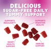 Fiber Gummies – Sugar Free Prebiotic Plant-Based Fiber 4g per