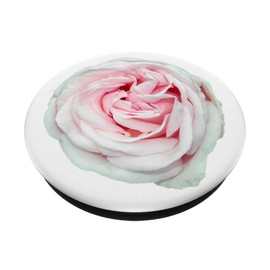 Light Pink Rose on White | Garden & Plant Lady PS13750