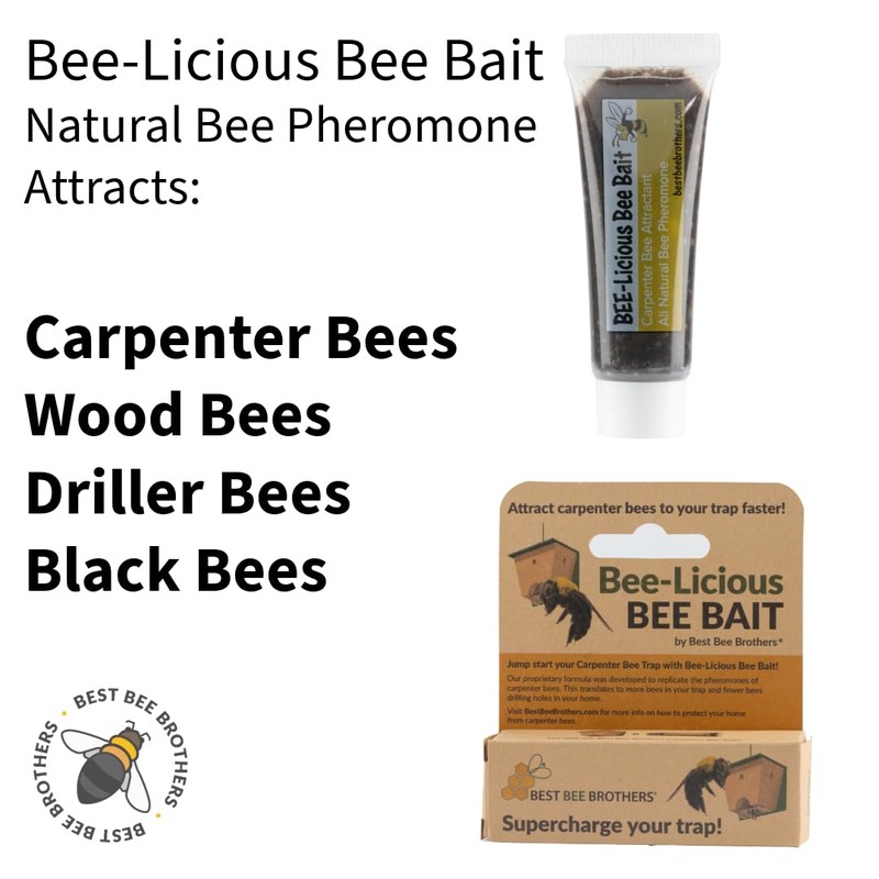 Best Bee Brothers Bee-Licious Bee Bait, All-Natural Carpenter Bee Lure,