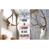 Large European Mount Hanger | Skull Bracket by Dead On