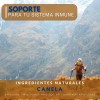 Canela 400 Mg 100 Cápsulas