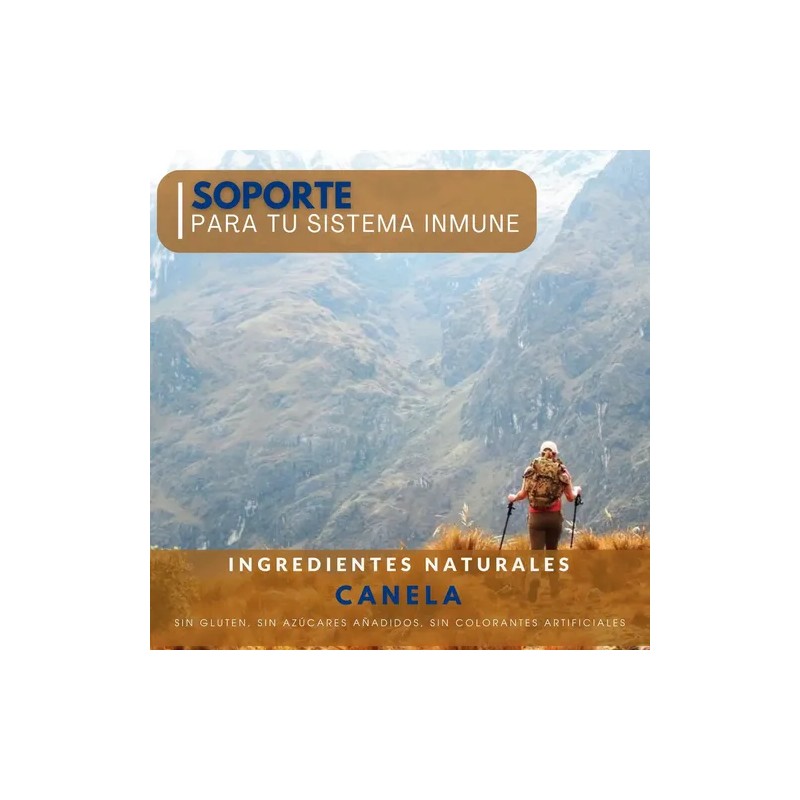 Canela 400 Mg 100 Cápsulas