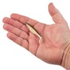 PowerBait The Champ Swimmer HD Rainbow Trout 3in | 8cm