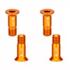 ANCLLO 4 Pcs Aluminum Alloy Bicycle Rear Derailleur Bolt Titanium
