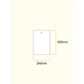 白無地タグ（値札）5031（34×49mm・白糸）/500枚