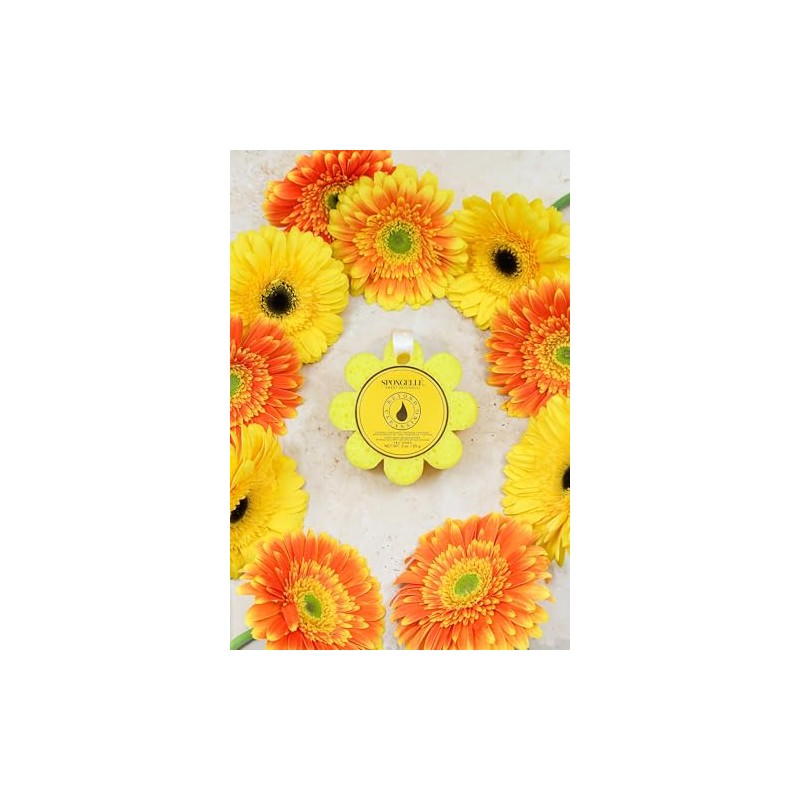 Spongellé Sweet Patchoui Wild Flower