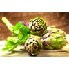 Artichoke 20 Seeds for Planting Non-GMO