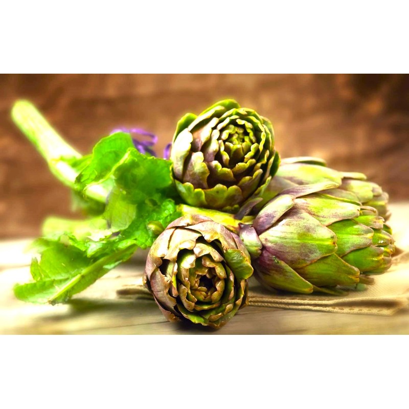 Artichoke 20 Seeds for Planting Non-GMO