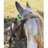 side pull hackamore with a whoa bitless bridle attachment horse