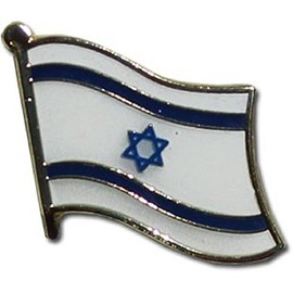 AES Israel Israeli Country Flag Bike Motorcycle Hat Cap Lapel Pin