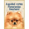 A spoiled rotten Pomeranian lives here! Wood Fridge Locker Magnet