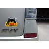 Cute Cat Magnetic Sign Dash Cam Recording Black Cat